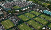 7 thông tin đáng chú ý khiến Wimbledon năm nay trở nên có '1-0-2'