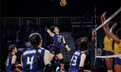 Tin thể thao 1/10: Bóng chuyền nữ Nhật Bản gây bão toàn thế giới