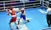 Tin thể thao 12/11: Nguyễn Thị Tâm làm rạng danh boxing Việt Nam