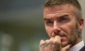 Beckham bị cộng đồng LGBT tố “đạo đức giả”?