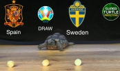 Thần Rùa tiên tri dự đoán kết quả Tây Ban Nha vs Thụy Điển: Khó có bất ngờ