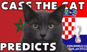 Mèo tiên tri dự đoán kết quả Ma Rốc vs Croatia: Chưa hề biết sai