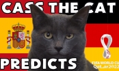 Mèo tiên tri dự đoán kết quả Tây Ban Nha vs Đức: Cực kỳ bất ngờ