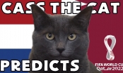 Mèo tiên tri dự đoán kết quả Hà Lan vs Qatar: Lựa chọn khôn ngoan