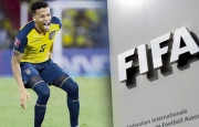 Vụ Ecuador gian lận thêm biến căng: Cầu thủ công khai bật lại FIFA