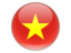 Đoàn Việt Nam Olympic 2024