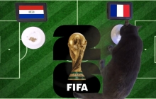 Mèo tiên tri dự đoán tỷ số Paraguay vs Pháp: Mbappe đưa Les Bleus vào tứ kết!