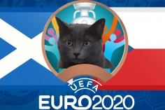 Mèo tiên tri dự đoán Scotland vs CH Séc: Chủ nhà hưởng niềm vui