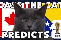 Mèo tiên tri dự đoán tỷ số Canada vs Bosnia-Herzegovina cực khó tin
