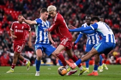 Trực tiếp Liverpool vs Brighton: Sẵn sàng khai cuộc