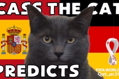 Mèo tiên tri dự đoán kết quả Tây Ban Nha vs Đức: Lựa chọn mạo hiểm