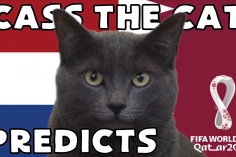 Mèo tiên tri dự đoán kết quả Hà Lan vs Qatar: Lựa chọn tin cậy