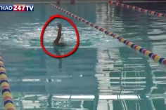 VIDEO: Ánh viên trổ tài bơi ngửa với chai nước trên đầu