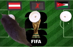Mèo tiên tri dự đoán tỷ số Áo vs Jordan: Tân binh Jordan bị đè bẹp!
