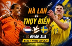 Mèo tiên tri dự đoán tỷ số Hà Lan vs Thụy Điển: Khó có 3 điểm!