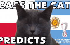 Mèo tiên tri dự đoán kết quả Argentina vs Ba Lan: Khó lường!