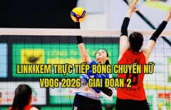 Link xem trực tiếp bóng chuyền nữ hôm nay 15/10