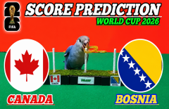 Vẹt tiên tri dự đoán tỷ số Canada vs Bosnia-Herzegovina: Kết quả cực dị