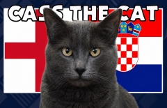 Mèo tiên tri dự đoán tỷ số Anh vs Croatia: Địa chấn cực lớn!