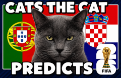 Mèo tiên tri dự đoán Bồ Đào Nha vs Croatia: Nỗi buồn cực lớn cho Ronaldo