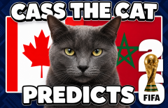 Mèo tiên tri dự đoán Canada vs Morocco: Quá khủng khiếp!