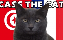 Mèo tiên tri dự đoán kết quả Pháp vs Tunisia: Uy tín tuyệt đối
