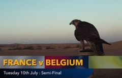 Nhà tiên tri dự đoán kết quả Pháp vs Bỉ: Cú sốc tiếp theo?