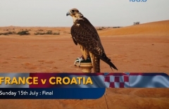 Nhà tiên tri dự đoán kết quả Pháp vs Croatia: Có bất ngờ?