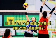 Link xem trực tiếp bóng chuyền nữ hôm nay 15/10