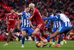 Trực tiếp Liverpool vs Brighton: Sẵn sàng khai cuộc