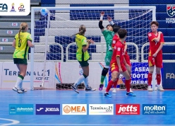 CĐV Đông Nam Á bênh Việt Nam sau trận thua Australia