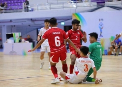 CĐV Đông Nam Á dậy sóng khi Việt Nam gục ngã 2-3 trước Indonesia