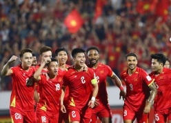HLV Úc 'bật đèn xanh', ĐT Việt Nam rộng cửa có 4 trụ cột đá FIFA ASEAN Cup