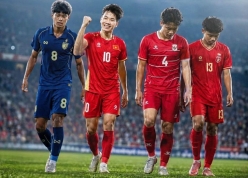 Truyền thông Malaysia: 'Chỉ Việt Nam đưa Đông Nam Á tới World Cup'