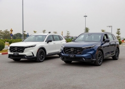 Năm 2026, xe hybrid hay xe điện sẽ là xu hướng tại thị trường Việt Nam?