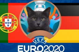 Mèo tiên tri dự đoán kết quả Bồ Đào Nha vs Đức: Lựa chọn tối ưu!