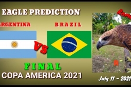 Thần điêu dự đoán Brazil vs Argentina: Thắp sáng hy vọng