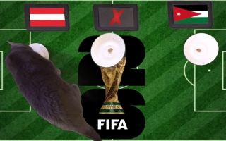 Mèo tiên tri dự đoán tỷ số Áo vs Jordan: Tân binh Jordan bị đè bẹp!