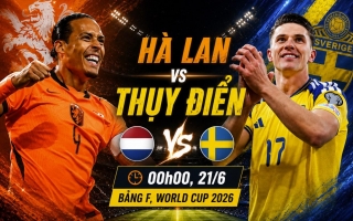 Mèo tiên tri dự đoán tỷ số Hà Lan vs Thụy Điển: Khó có 3 điểm!