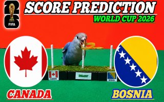 Vẹt tiên tri dự đoán tỷ số Canada vs Bosnia-Herzegovina: Kết quả cực dị