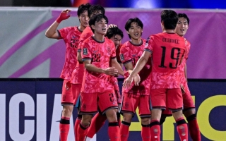 CĐV châu Á gọi tên Việt Nam khi 'tứ đại đồng văn' cùng vào bán kết