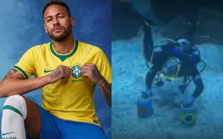 Cá mập hoa mai tiên tri chỉ thẳng kết quả Brazil vs Ma Rốc