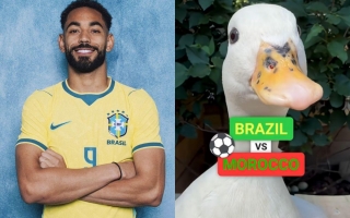 Đàn vịt đồng loạt chọn đội thắng ở đại chiến Brazil vs Ma Rốc