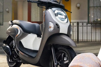 Honda Scoopy 2025: Phiên bản mới hứa hẹn hấp dẫn người tiêu dùng Việt