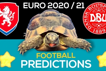 Thần Rùa tiên tri dự đoán kết quả CH Séc vs Đan Mạch: Lựa chọn hoàn hảo