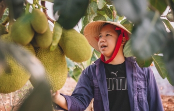 
                Nguyễn Thanh Hoàng - Khát khao xây dựng kênh Tiktok chia sẻ cuộc sống an lạc vùng cao nguyên
            