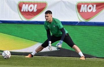 
                Ngôi sao Việt kiều bắn tín hiệu tới người hâm mộ Việt Nam
            