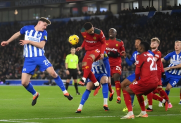 Brighton và Wolves chia điểm tại vòng 21 Ngoại hạng Anh