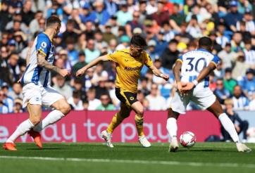Nhận định, dự đoán Wolves vs Brighton, 21h00 ngày 19/8/2023