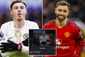 Bruno bật đèn xanh, ngày Palmer gia nhập MU đang tới gần?